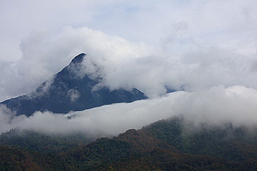 五指山风光