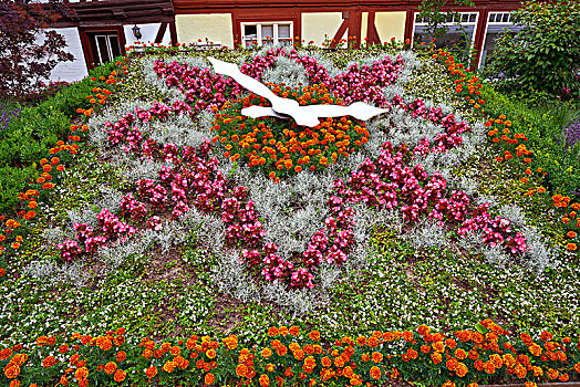 花,钟表,花园,哈尔茨山,德国,萨克森