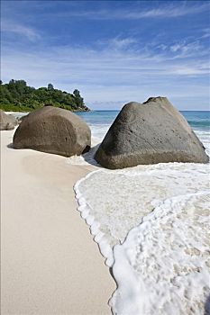 海滩,靠近,远景,特色,花冈岩,塞锡尔群岛,缓坡,马埃岛,塞舌尔,印度洋,非洲