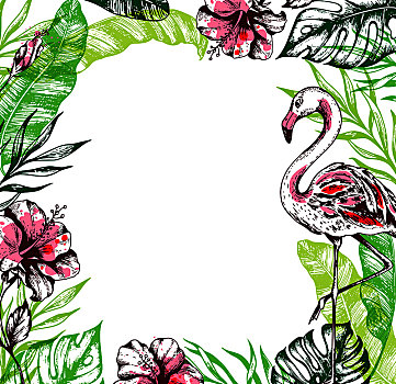 夏天,花,热带,绿色,棕榈叶,木槿,粉红火烈鸟,热带植物,白色背景,矢量,插画