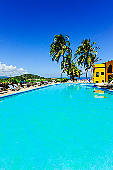 游泳池,棕榈树,海洋,巴拉科阿,古巴