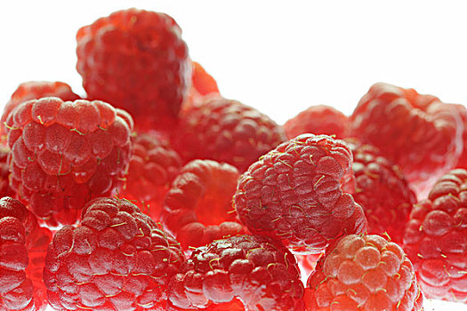树莓,悬钩子,玫瑰,植物,水果,分开,浆果,红色,营养健康,富含维生素,低热量,可食,食物,静物,招待