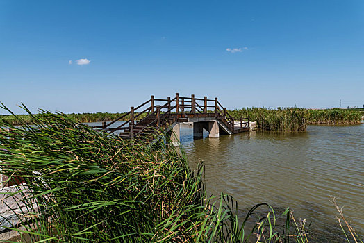 湿地中的桥