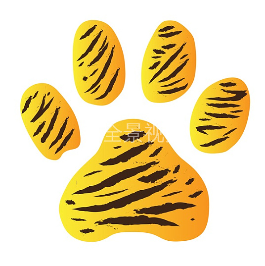 老虎的脚印像什么形状图片