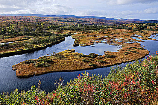 河,河口,秋天,布雷顿角高地,新斯科舍省,加拿大