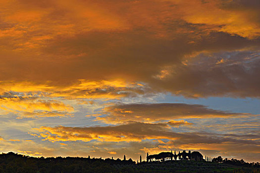 风景,日落,锡耶纳省,托斯卡纳,意大利