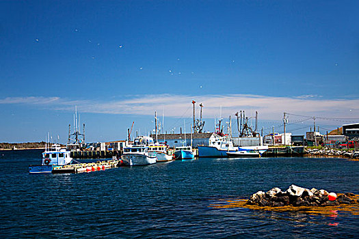北美,加拿大,新斯科舍省,渔船,码头,港口
