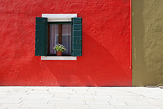 花,容器,坐,窗,百叶窗,打开,建筑,涂绘,鲜明,红色,布拉诺岛,威尼斯,意大利