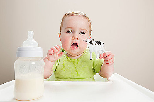 男婴,奶瓶,玩具,母牛