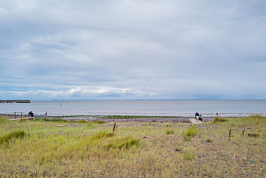 海岸