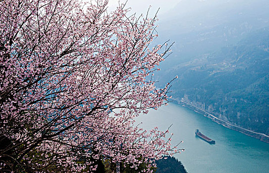 长江三峡西陵峡春天