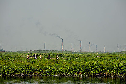 劳工,走,农田,河,浓厚,黑烟,烟囱,砖,窑,姿势,严肃,威胁,环境,达卡,孟加拉,二月,2007年