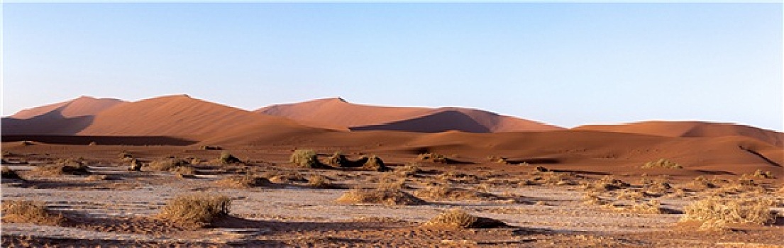 美景,隐藏,纳米布沙漠,全景