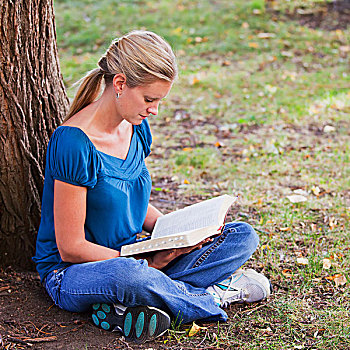 女人,读,圣经,公园,旁侧,艾伯塔省,加拿大