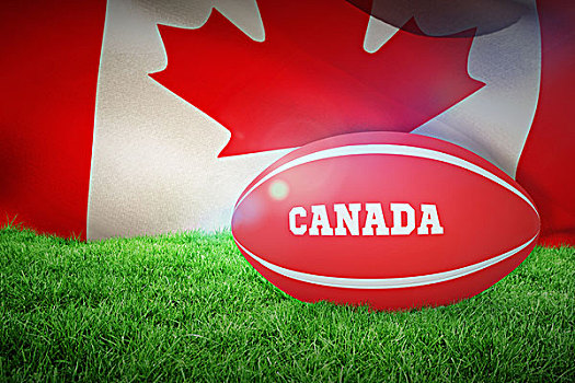 合成效果,图像,加拿大,橄榄球,特写,摆动,加拿大国旗