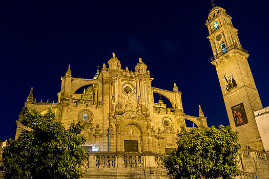 大教堂,夜晚,西班牙
