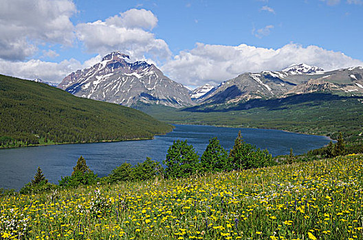上升,狼,山,两个,医疗,高山湖,冰川国家公园,落基山脉,蒙大拿,美国