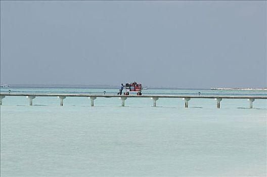 门童,推,行李车,码头,水,岛屿,南方,阿里环礁,马尔代夫,印度洋