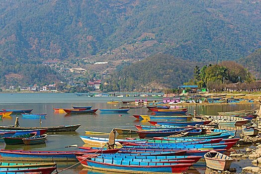 彩色,船,费瓦湖,波卡拉,尼泊尔,亚洲