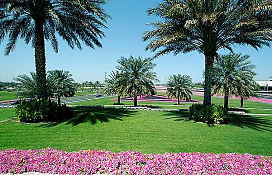 花园,迪拜,阿联酋,2004年