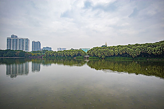 流花湖公园