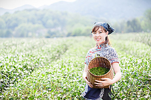 亚洲人,漂亮,女孩,种植园