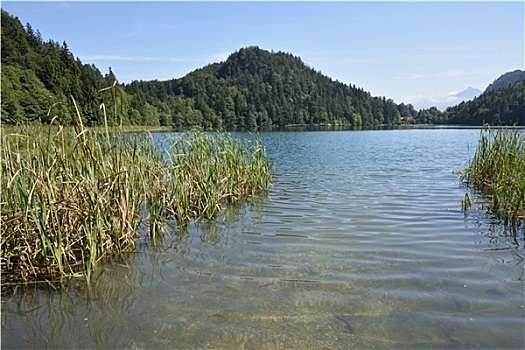 高山,湖