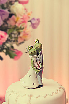 青蛙,新郎,新娘,婚礼蛋糕