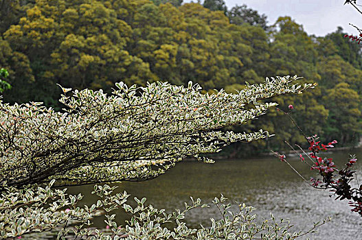 风帆