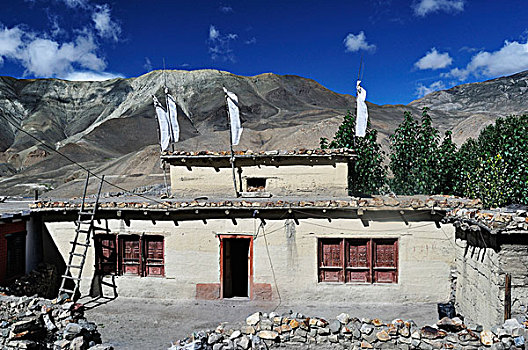 传统,房子,山谷,地区,安娜普纳,保护区,尼泊尔