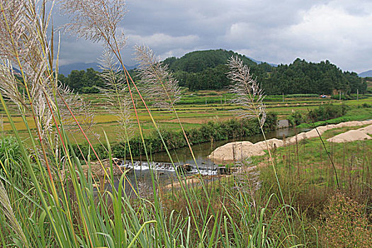 安徽農村