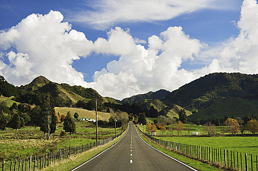 道路,北岛,新西兰