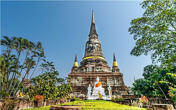 塔,寺院,大城府,泰国