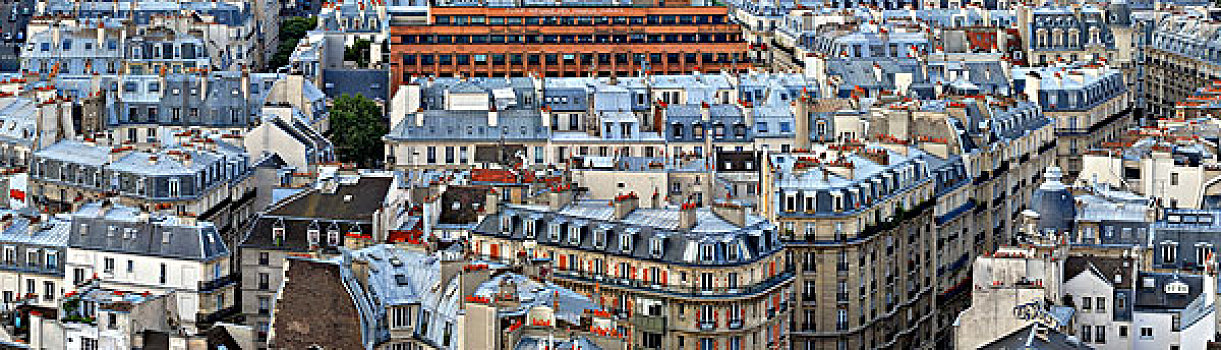 屋顶,巴黎,风景,塔,大教堂,法兰西岛,法国,欧洲