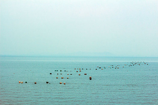 漂浮着塑胶泡沫的海面