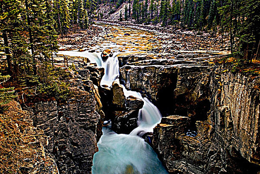 图像,世界,著名,河,世界遗产,碧玉国家公园,艾伯塔省,加拿大