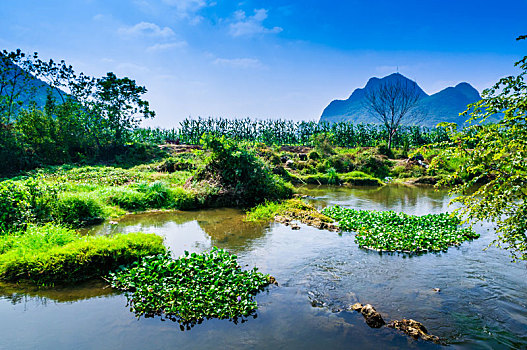 山水田园