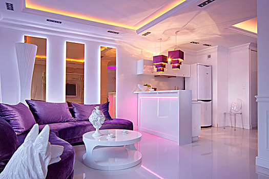 紫色,沙发,白色,圆,设计师,茶几,室内,氛围,亮光