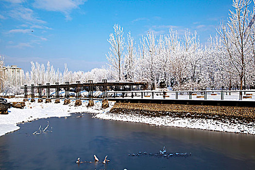 覆盖着厚厚的白雪的湖边观景平台