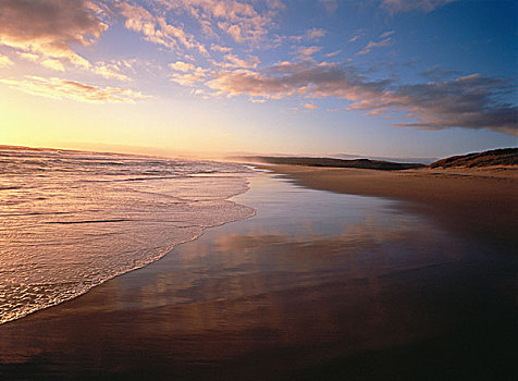 日落,上方,海滩,南非