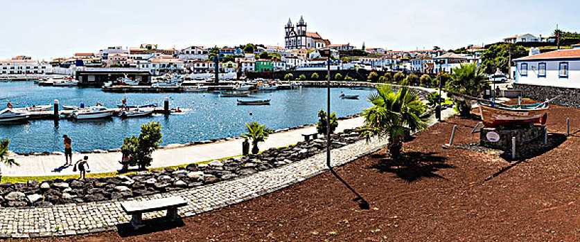 俯视,捕鱼,港口,教堂,岛屿,亚速尔群岛,葡萄牙