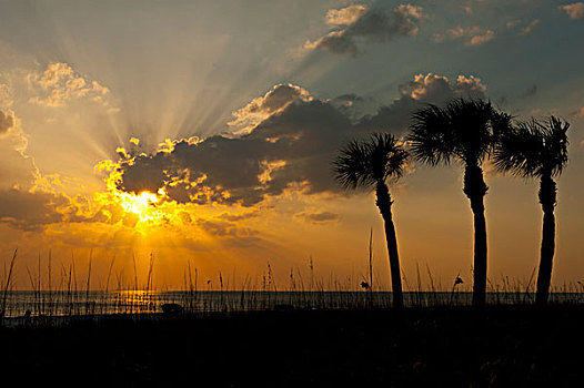 美国,佛罗里达,多云,日落,海滩,钥匙,大幅,尺寸