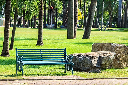 绿色,长椅,棕榈树,公园,背景
