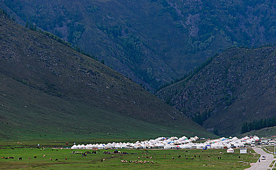 喀纳斯景区外的住宿蒙古包