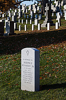 美国,弗吉尼亚,阿灵顿,阿灵顿国家公墓,纪念,杀死,上方,法国,第二次世界大战