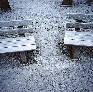 两个,长椅,公园,遮盖,冰,雪