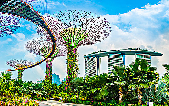 小树林,花园,湾,未来,市立公园,设计,建筑师,码头,沙,酒店,城市核心区,新加坡,亚洲