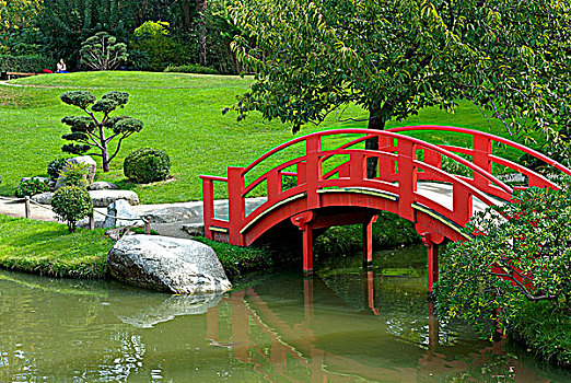 法国,图卢兹,花园,红色,桥
