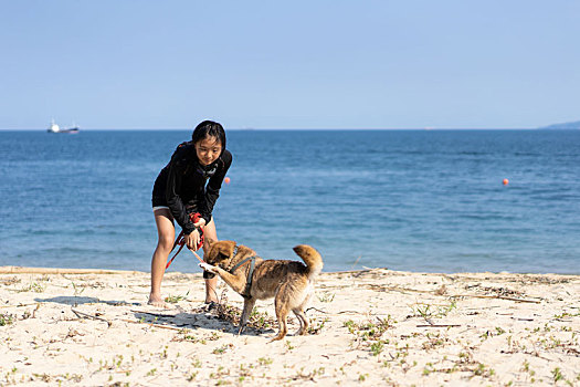 游泳,柴犬,儿童,海洋