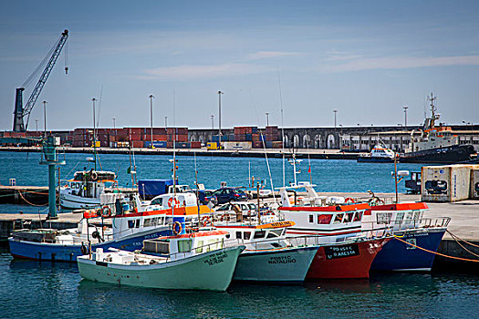 彩色,渔船,码头,岛屿,亚速尔群岛,葡萄牙